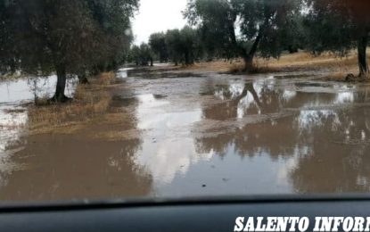 Alluvioni nel Salento: danni ai raccolti
