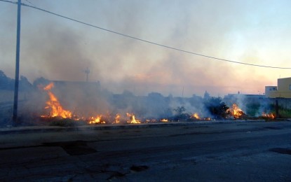 Rovi e sterpaglie in fiamme, pomeriggio di apprensione ieri in via Dalla Chiesa