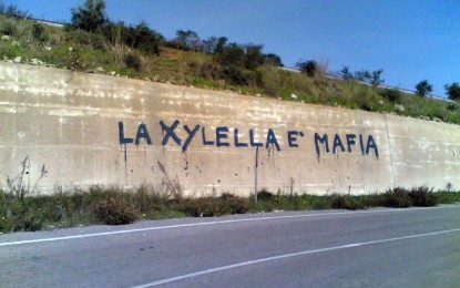 “La Xylella è una mafia”, le riflessioni del dott. Fabio Coppola