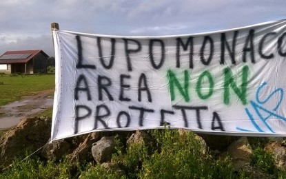 La macchia di “Lupomonaco” in stato di incuria, a Veglie scatta la protesta degli ambientalisti