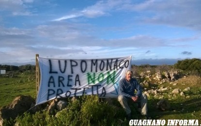 Macchia mediterranea di Lupomonaco, i VAS presentano un esposto al Sindaco di Veglie in difesa dell’oasi naturale