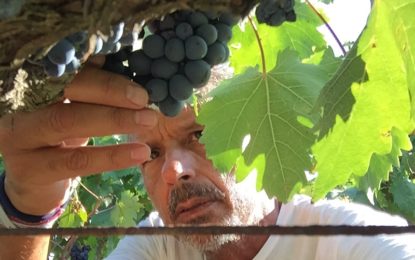 Settimana asiatica per i vini ​del Sud di Claudio Quarta Vignaiolo Dal 16 al 22 maggio le cantine parteciperanno ad importanti appuntamenti del settore