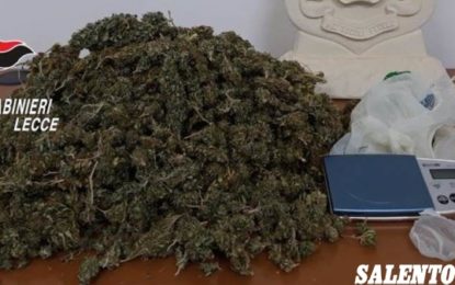 Pianta di marijuana in casa ed un chilo di sostanza: manette per un 45enne di Novoli